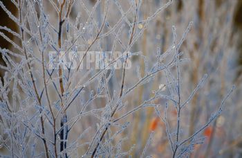 EA262307, Eastpress, Hamina, Finland